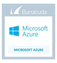 Barracuda Email Security Gateway for Microsoft Azure Level 3 Virtual Subscription (AZURE)